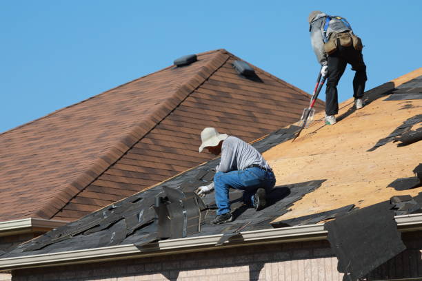 Best Solar Panel Roofing Installation  in Puxico, MO