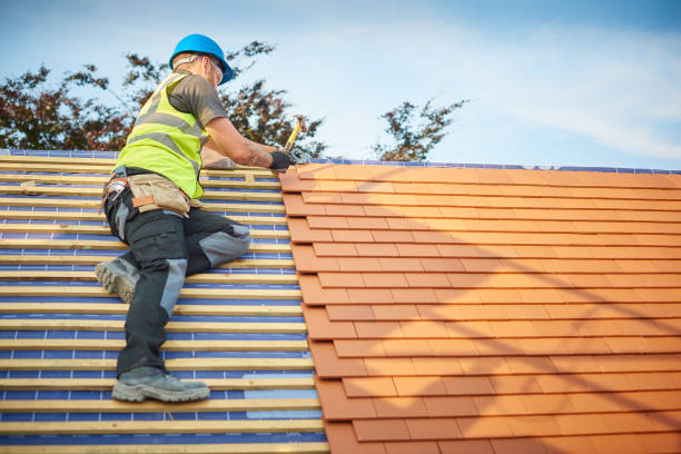 Best Storm Damage Roof Repair  in Puxico, MO